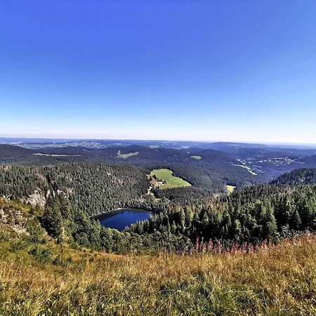 Apartmán Residenz Grafenmatt "Abendsonne" Feldberg  Exteriér fotografie