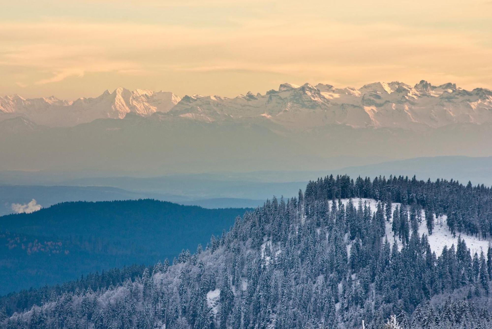 Apartmán Residenz Grafenmatt "Abendsonne" Feldberg  Exteriér fotografie