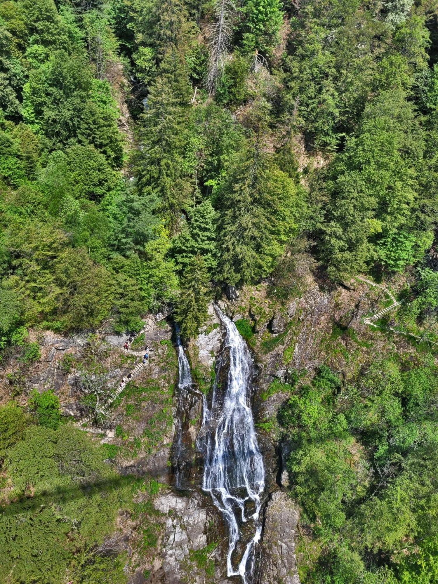 Apartmán Residenz Grafenmatt "Abendsonne" Feldberg  Exteriér fotografie